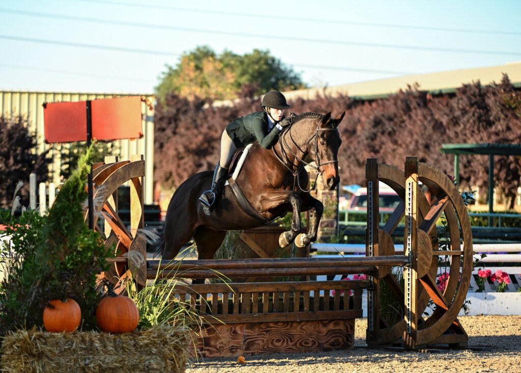 cross-training-at-melody-oak-farm