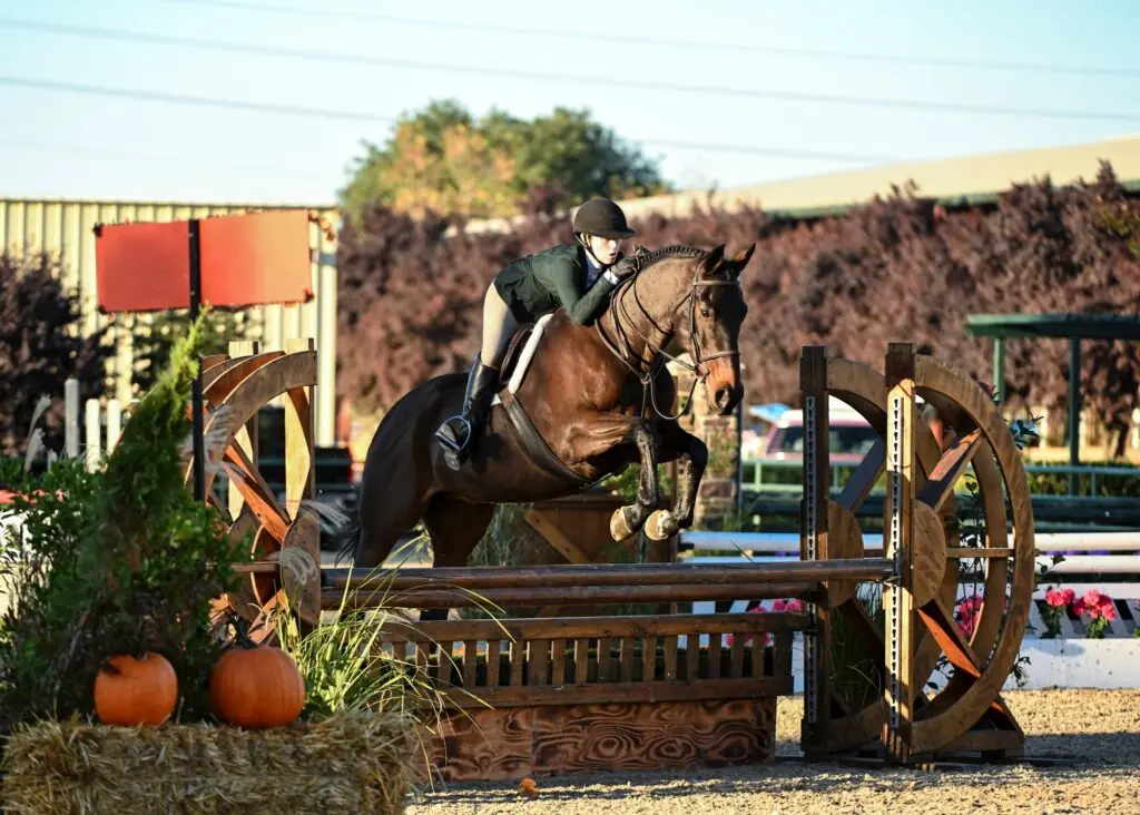 cross-training-at-melody-oak-farm