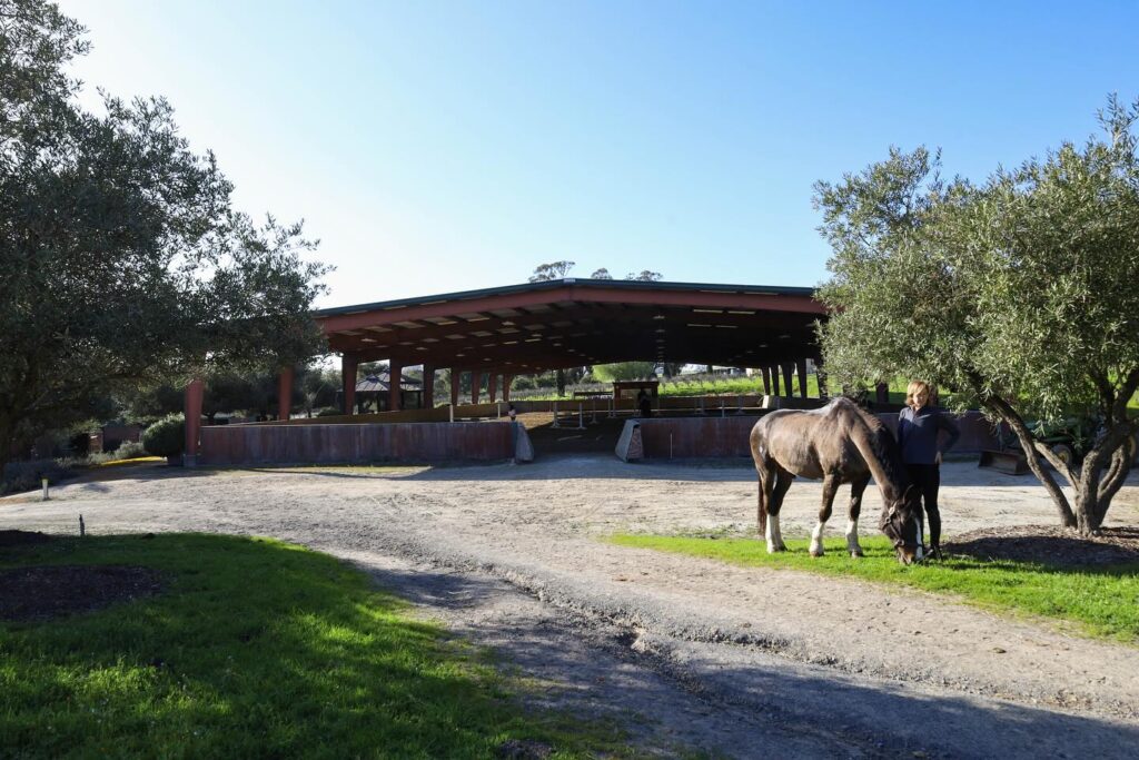rehabilitation-at-melody-oak-farm