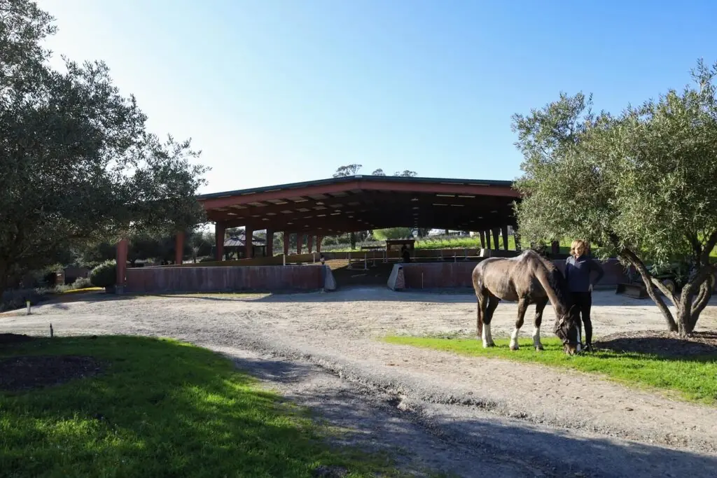 rehabilitation-at-melody-oak-farm