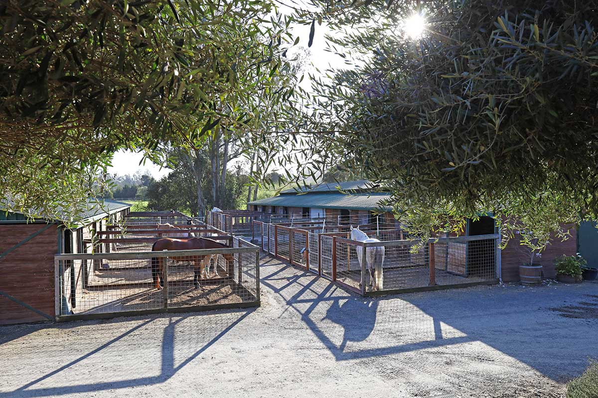 petaluma-equestrian-center-stalls-with-runs
