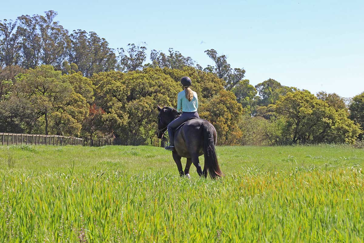 bridle-path-melody-oak-farm
