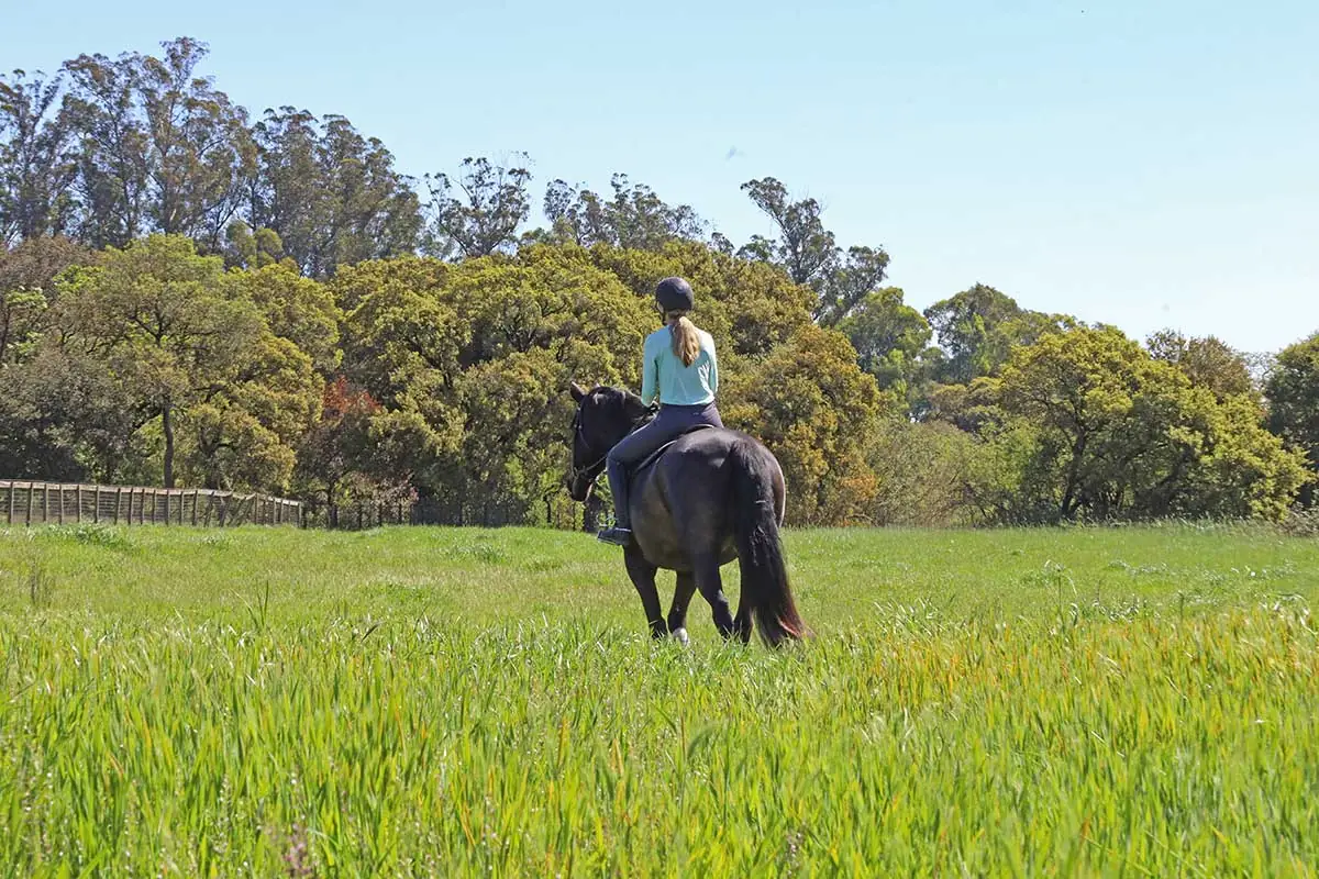 bridle-path-melody-oak-farm