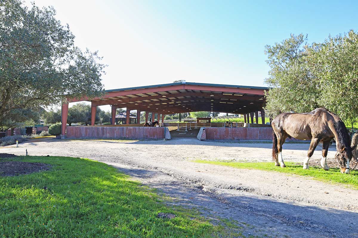 indoor-arena-melody-oak-farm