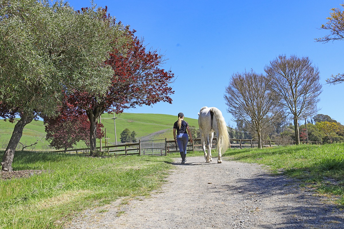 Melody Oak Farm Pastures