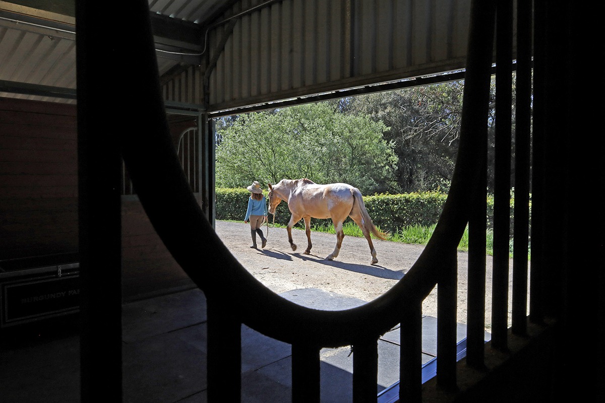 melody-oak-stall-front