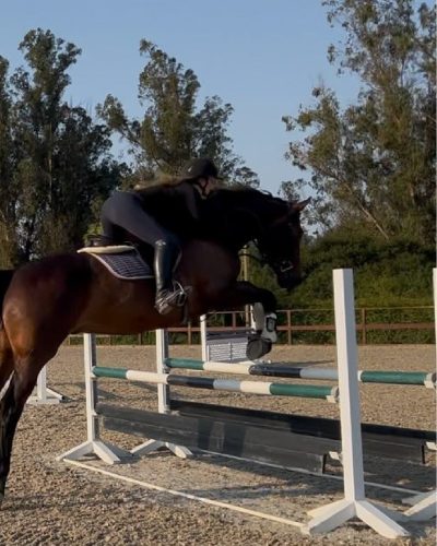 cross-training-at-melody-oak-farm